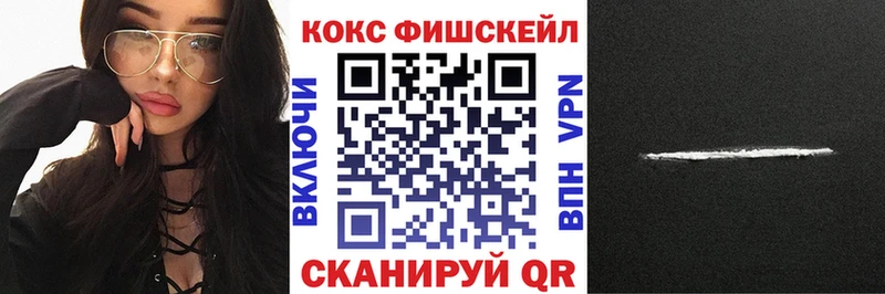 Купить закладки  Нижний Тагил  Кокаин Fish Scale 