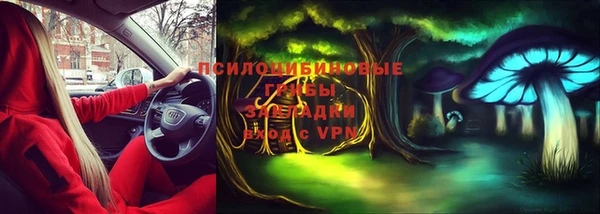дурь Козельск