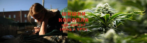 дурь Козельск