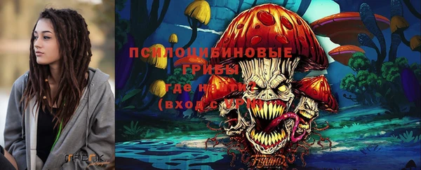 дурь Козельск