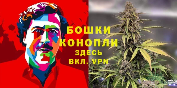 дурь Козельск