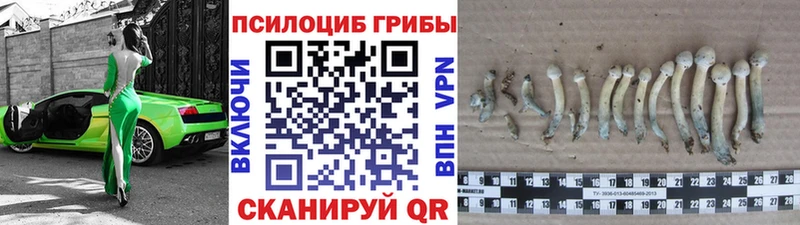 Галлюциногенные грибы прущие грибы  Купить где  Нижний Тагил 