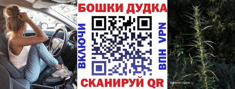 Конопля Amnesia  Купить где  Нижний Тагил 